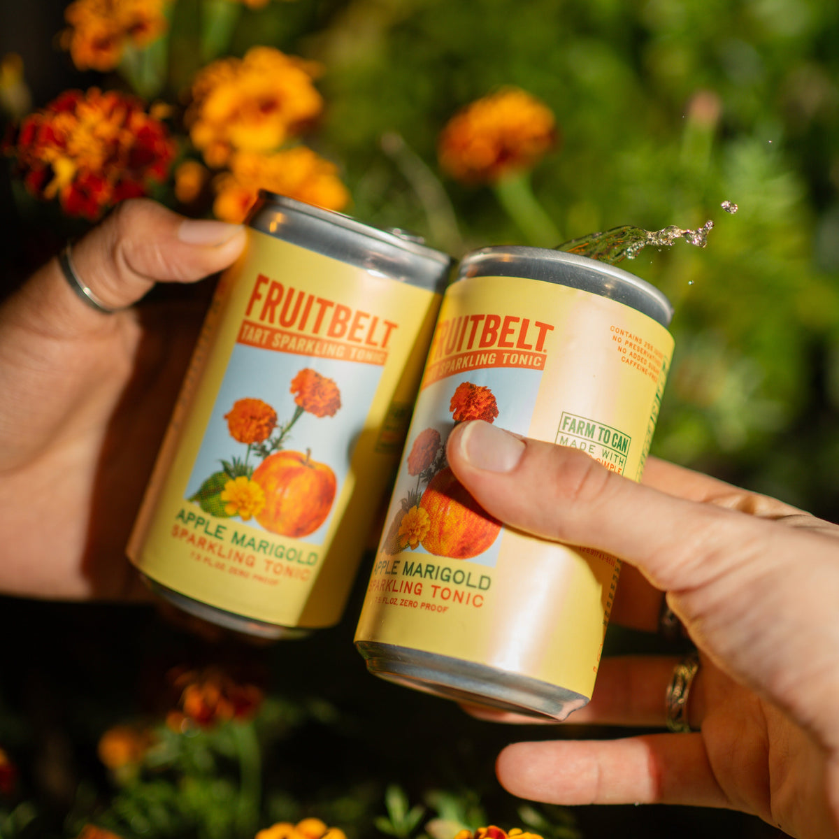 Two cans of Fruitbelt Apple Marigold sparkling tonic held by hands with a floral background.