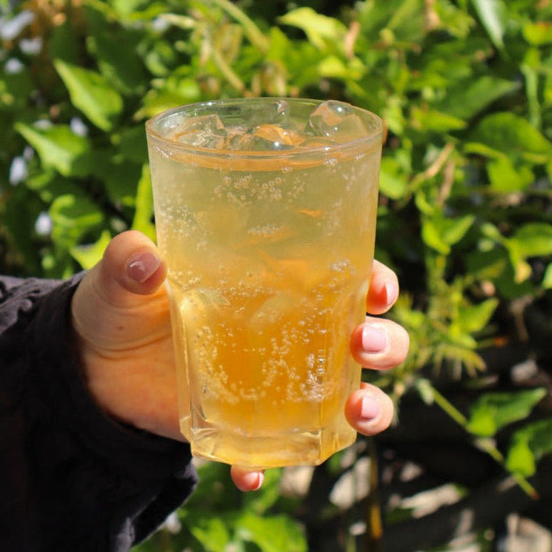 A hand holding a clear plastic cup filled with a yellowish liquid, set against a background of green bushes and foliage.