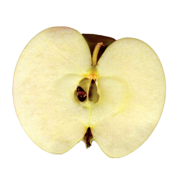A cross-section of a pale yellow apple showing the inner core, seeds, and stem on a plain white background.