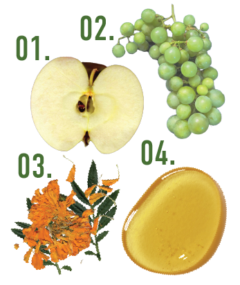 Four ingredient illustrations labeled 01 through 04 on a white background: a sliced apple, a green grape cluster, orange flowers, and a dollop of golden yellow honey.